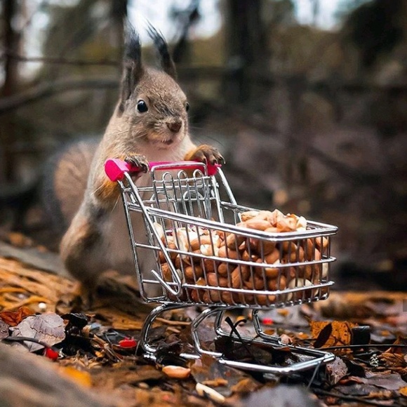 Meet your Posher, Jose - Picture 1 of 1